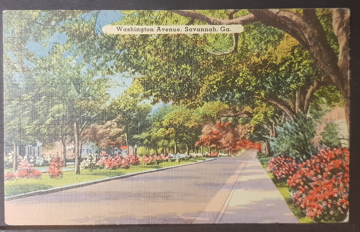 (image for) postcard USA - GA - Georgia #0009